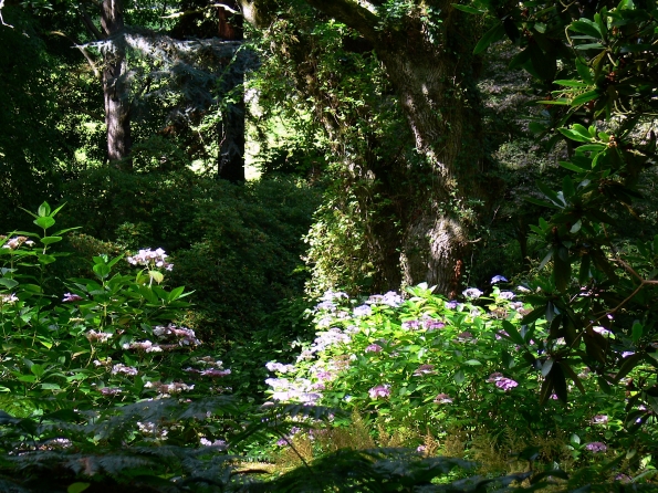 Bois des Moutiers  (70) Summer 2012